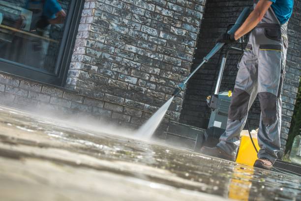 Best Spring Cleaning  in Niles, MI